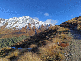 Closer shot of Ben Lomond