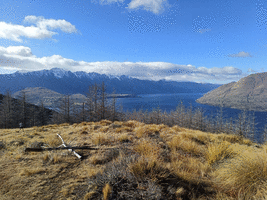 Looking back over Lake Whakatipu and The Remarkables