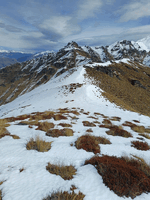 Ridge on a tussocky hill with small amount of snow on the tops