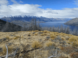 View of Lake Whakatipu and the Remarkables range on a cloudy but sunny day