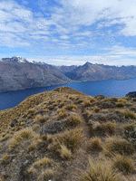 Single track looking over Lake Whakatipu