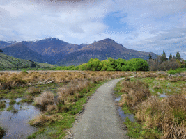 Trail through the wetlands at Lake Hayes