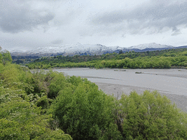 River view with greenery in the foreground