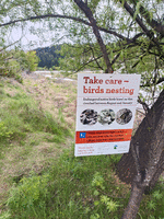 Sign saying Take care, birds nesting