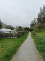 Trail running behind fenced back gardens