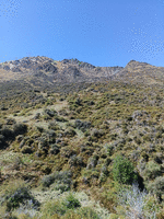 Scrubby terrain leading up to some stoney outcrop peaks