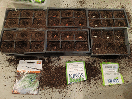 Seeding pots