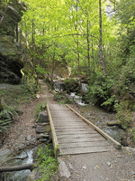 Footbridge over a small creek with dappled light shining through forest leaves