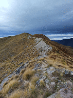 Tussock ridge