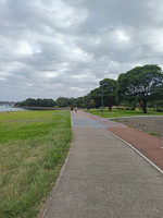 Bay track, concrete path with early morning runners