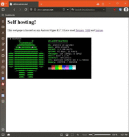 Screenshot of my self hosted webpage