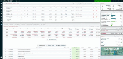 Screenshot of the Runalyze dashboard