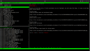 Screenshot of the tut text-based user interface Mastodon client